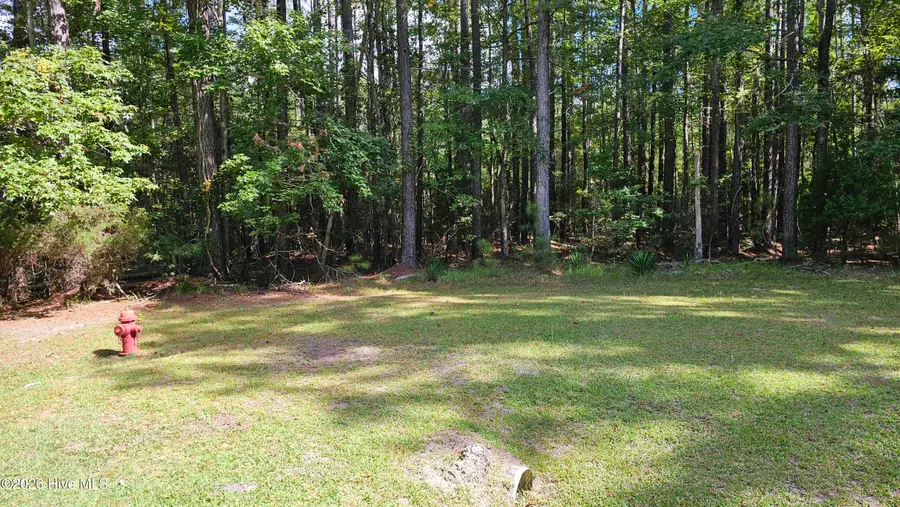 168 Arnetta Way N, Oriental, NC 28571 - #2