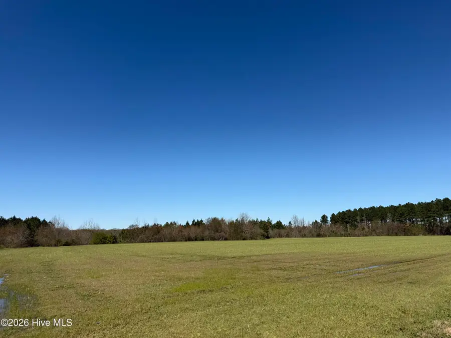 358 Flat Branch Road, Gatesville, NC 27938 - #2