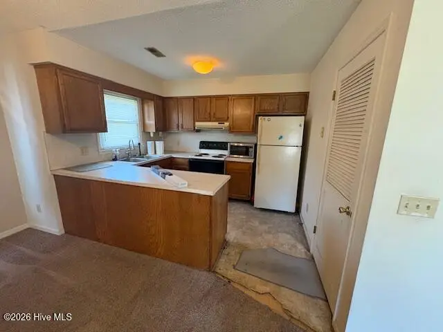 143 W Victoria Court, Greenville, NC 27834 - #3