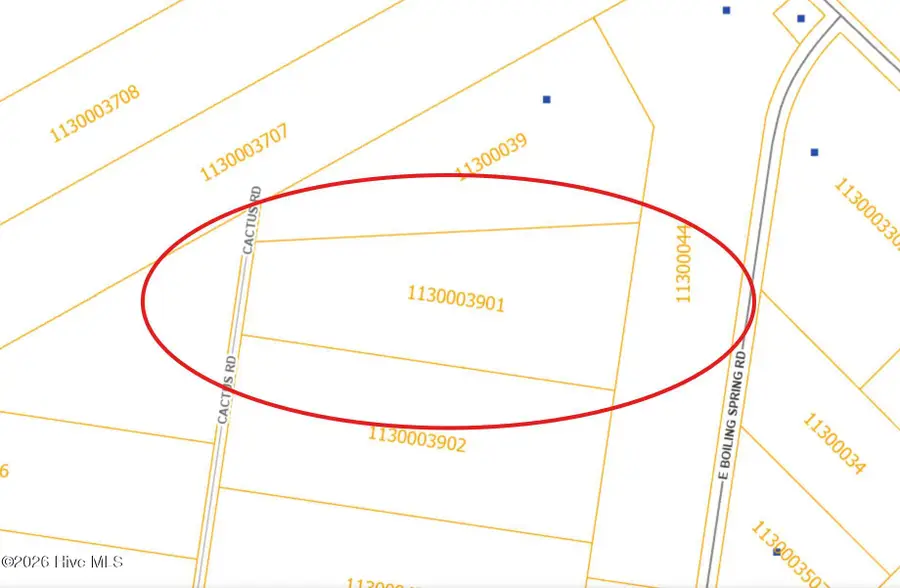 Tr-48 Cactus Road, Boiling Spring Lakes, NC 28461 - #2