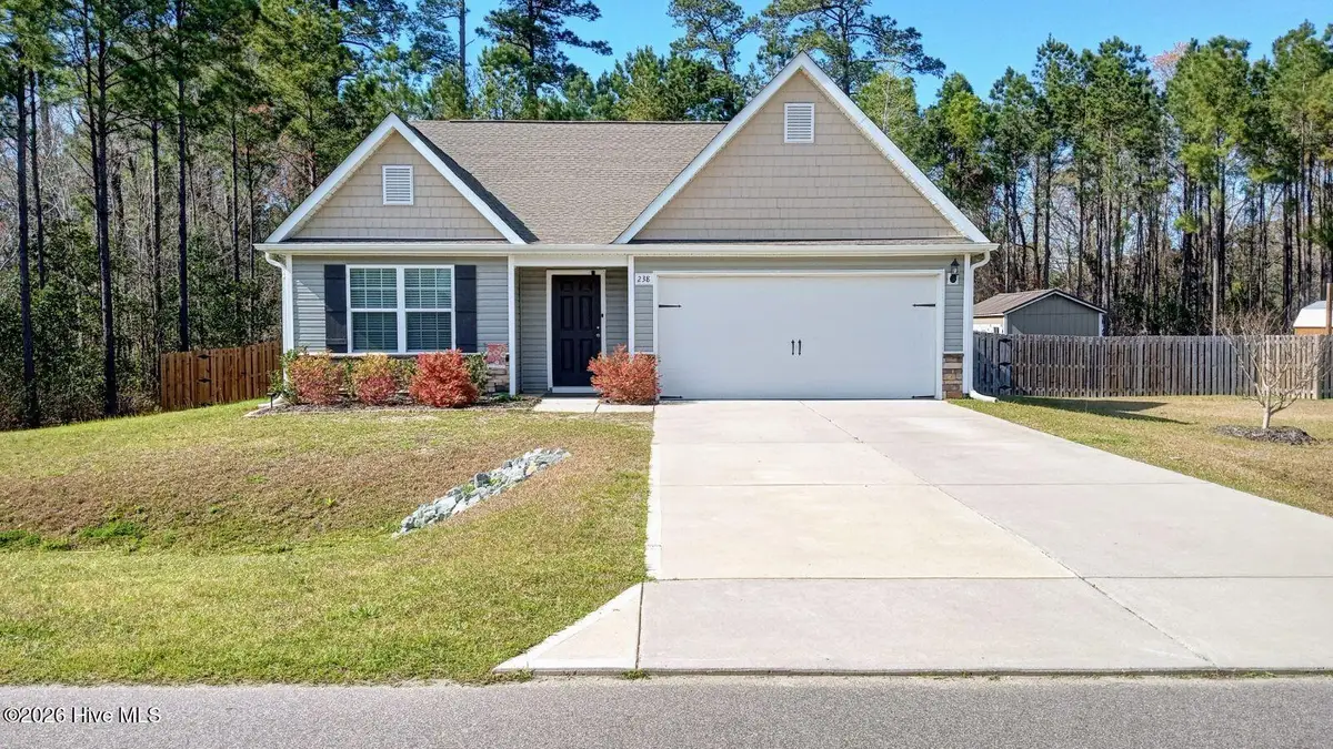 238 Poppleton Drive, Hampstead, NC 28443 - #1