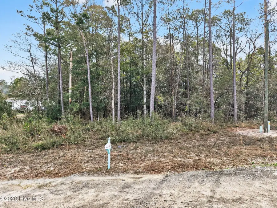 914 Cypress Lakes Circle Se, Bolivia, NC 28422 - #2