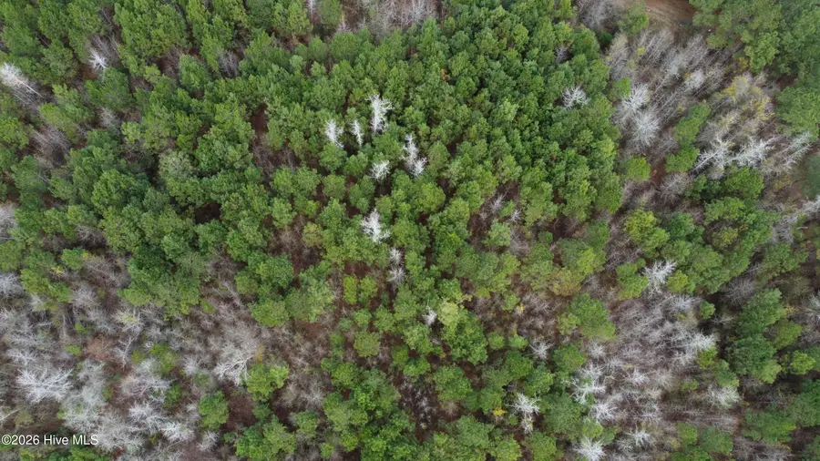 Near 18951 Andrew Jackson Highway E, Bolton, NC 28423 - #3