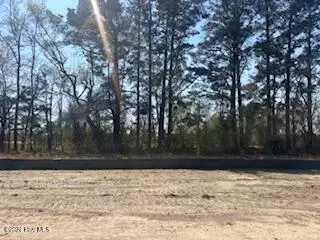 294 Eastwood Drive, Wallace, NC 28466 - #3