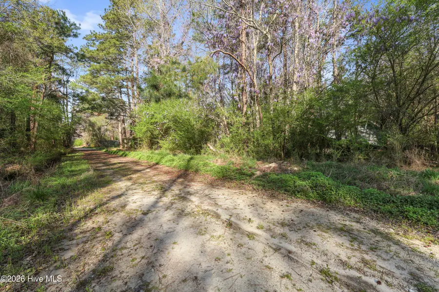 351 Burgaw Creek Loop Road, Burgaw, NC 28425 - #3