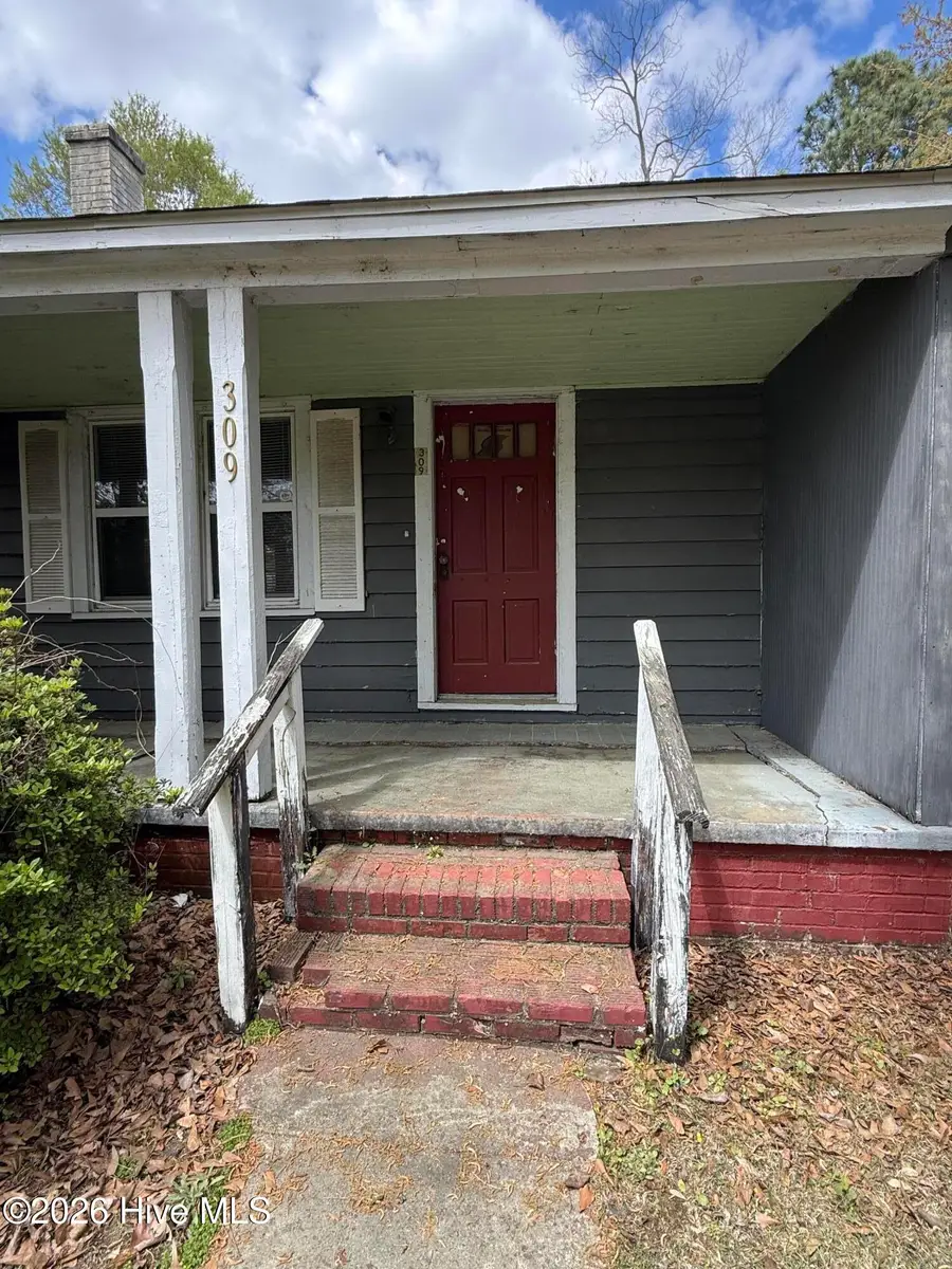 309 E Roseboro Street, Roseboro, NC 28382 - #3