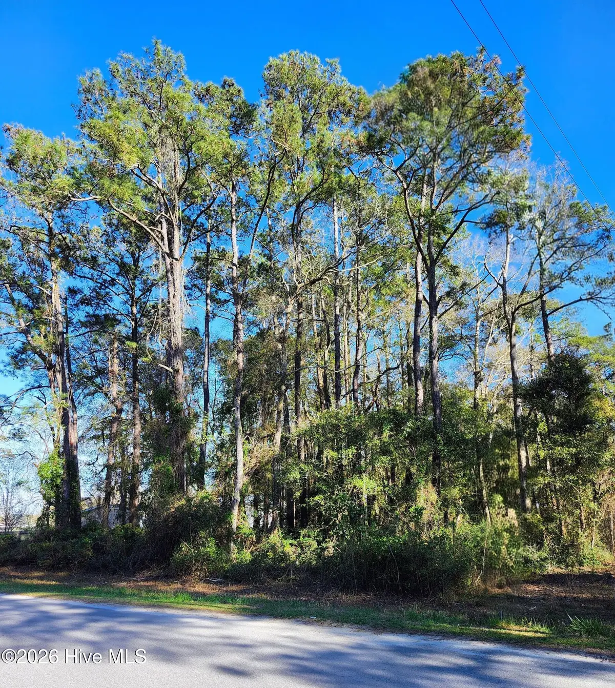 3872 Church Street Sw, Shallotte, NC 28470 - #1