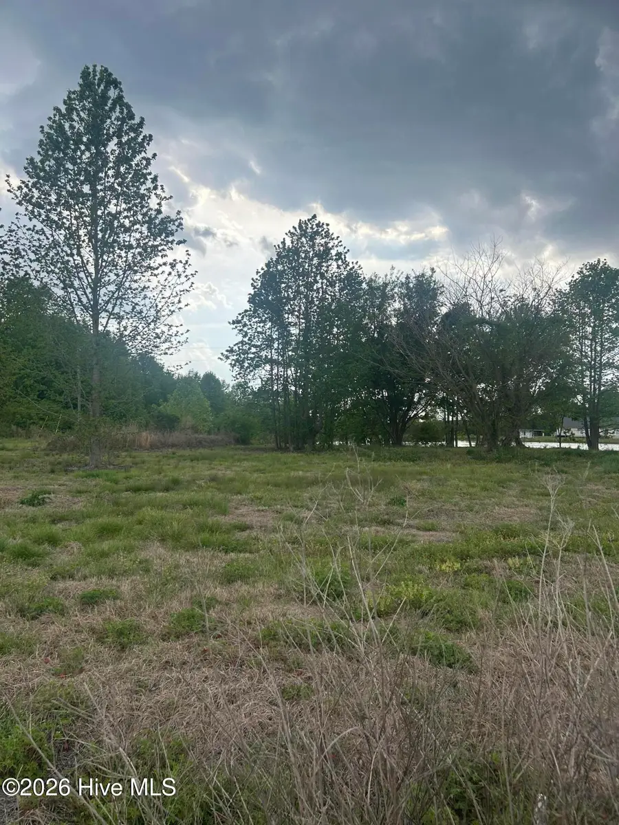 6 Crumpler Lake Lane, Clinton, NC 28328 - #3