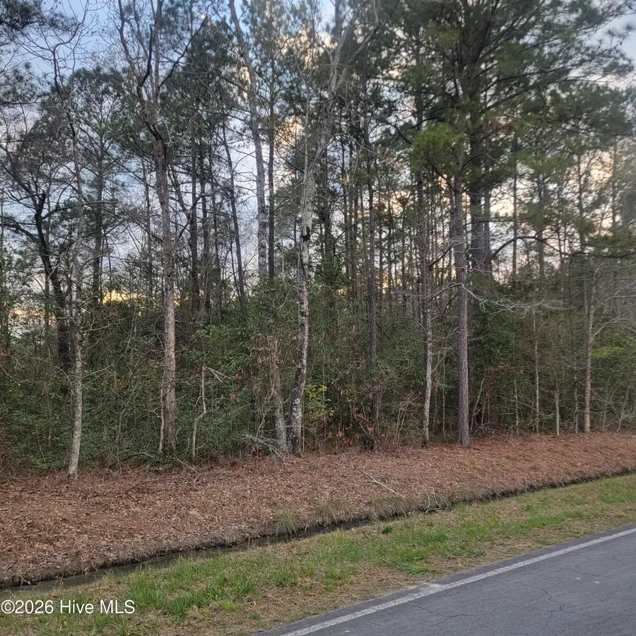 Tract 8 Fennell Town Road, Rocky Point, NC 28457 - #2