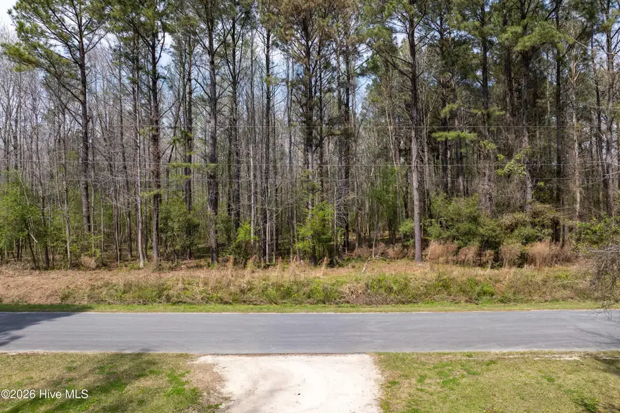 1414 State Rd 1414, Burgaw, NC 28425 - #2