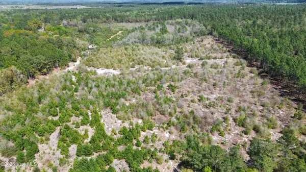 0 Wilbur Pridgen Road, Harrells, NC 28444