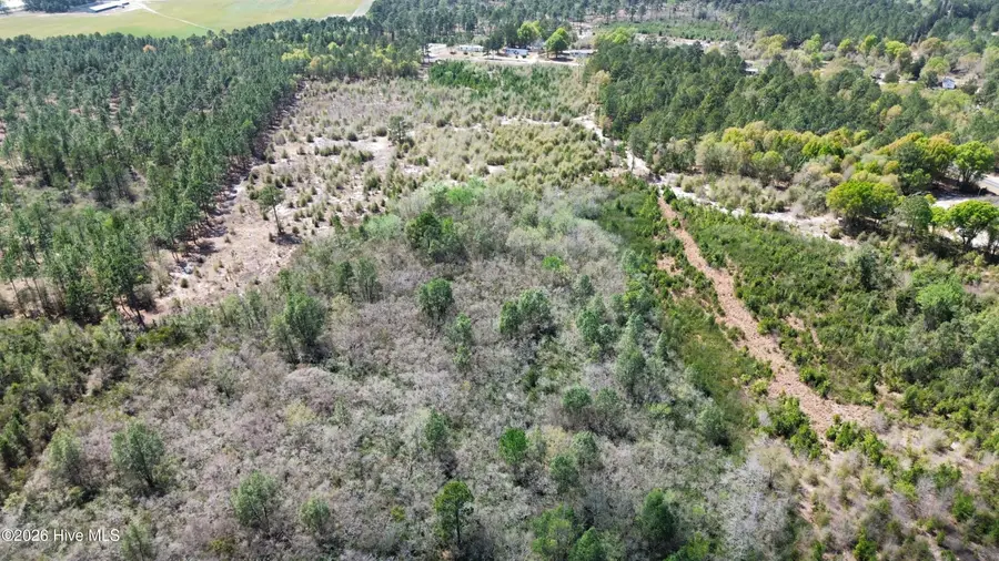 0 Wilbur Pridgen Road, Harrells, NC 28444 - #3