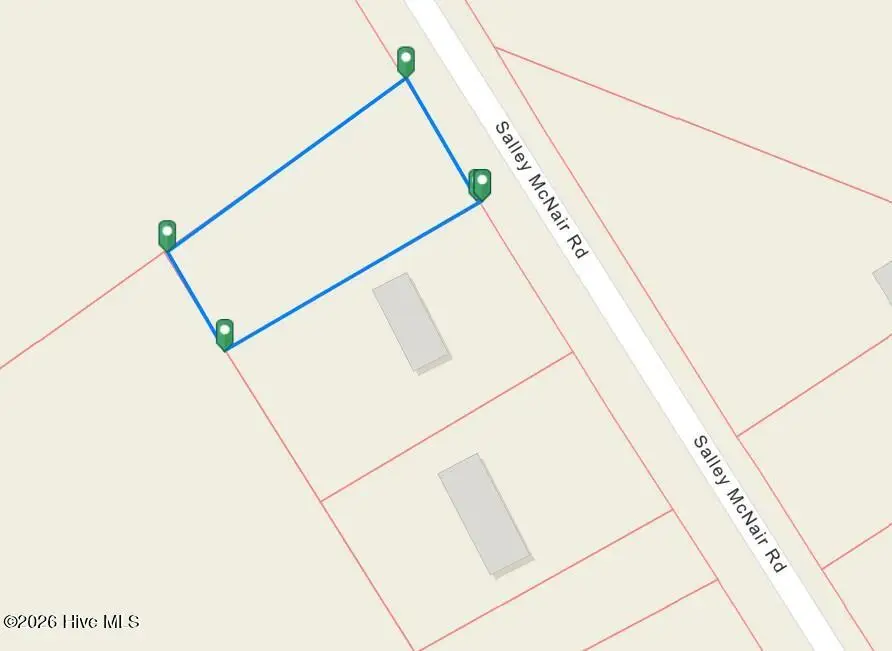 20660 Salley Mcnair Road, Laurinburg, NC 28352 - #1