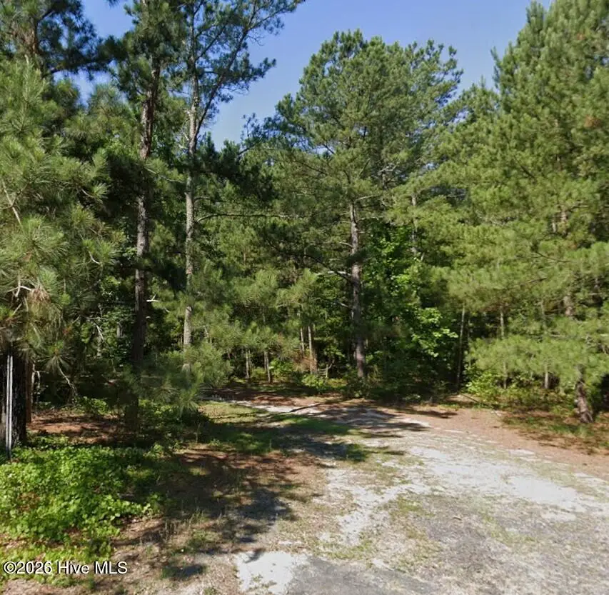 18781 Grant Street, Laurinburg, NC 28352 - #3