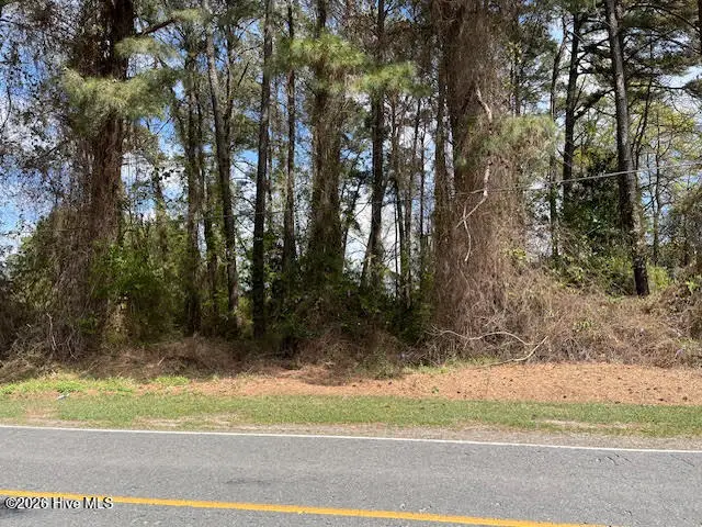 00 Penny Branch Road, Warsaw, NC 28398 - #2