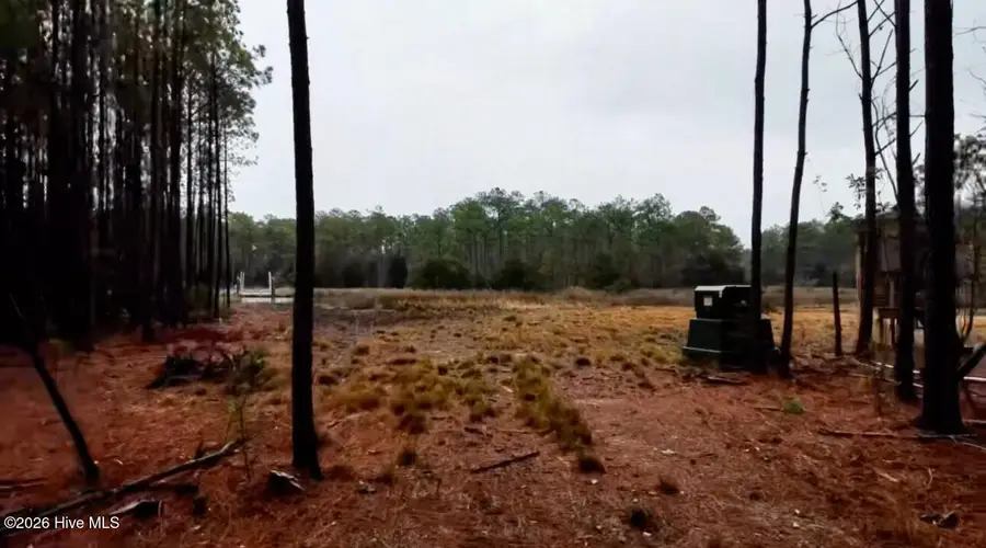 499 Tar Creek Road, Oriental, NC 28571 - #2