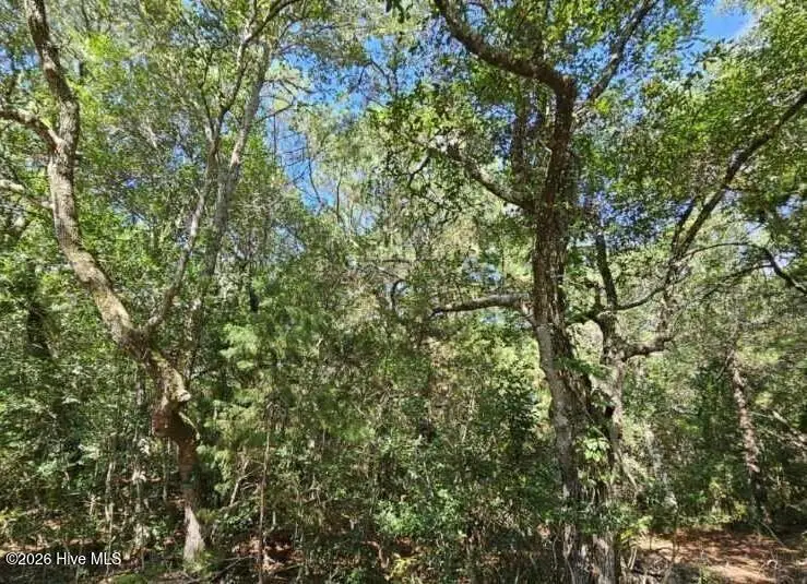 17 Col William Rhett Trail, Bald Head Island, NC 28461 - #2