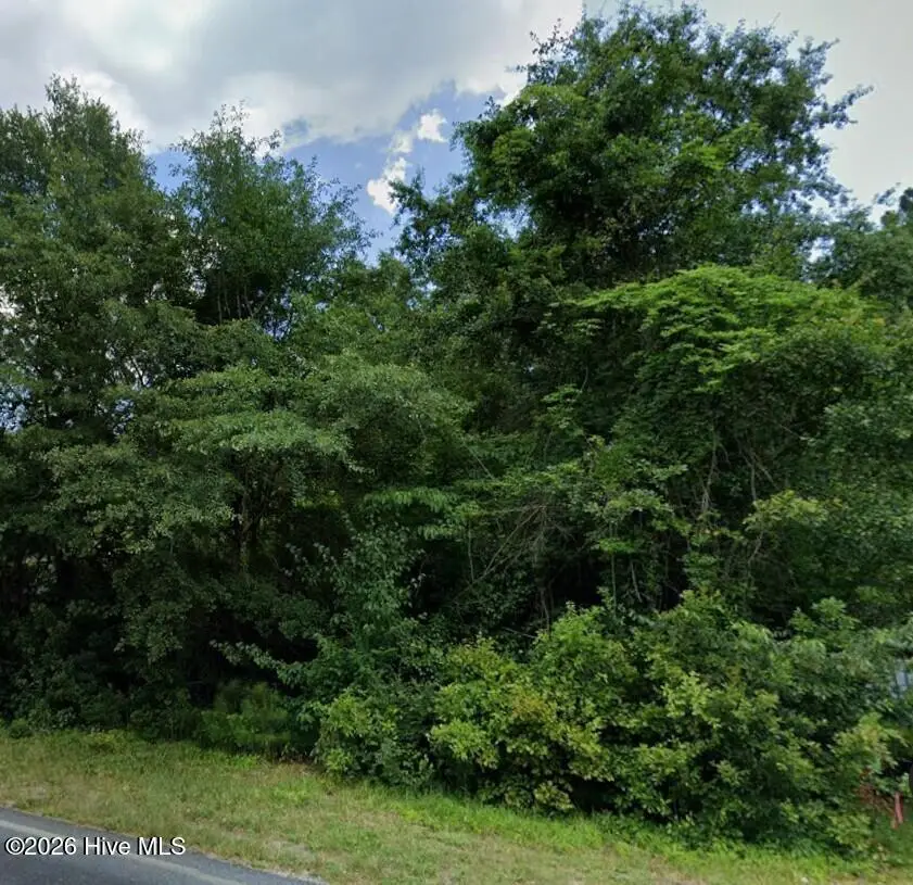 Lot 6 St Johns Church Road, Laurel Hill, NC 28351 - #2