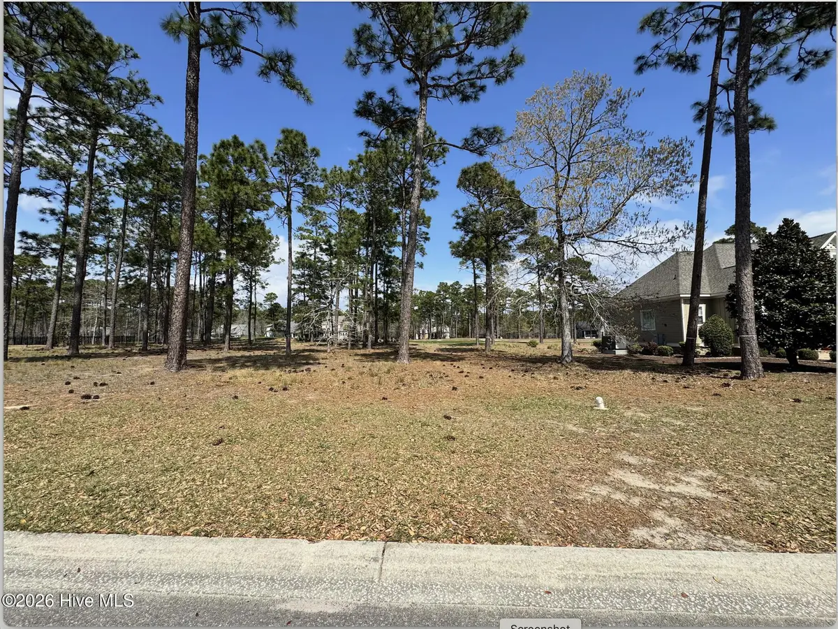 425 Laurel Valley Drive, Shallotte, NC 28470 - #1