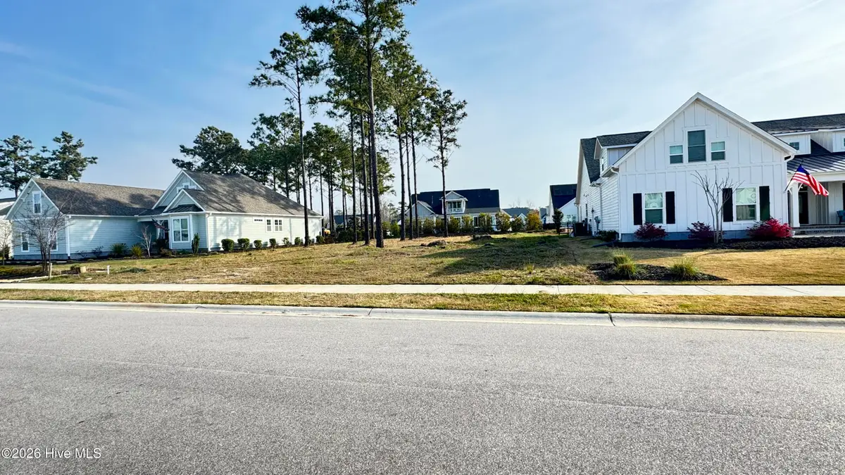 191 Knots Bend Drive, Hampstead, NC 28443 - #1