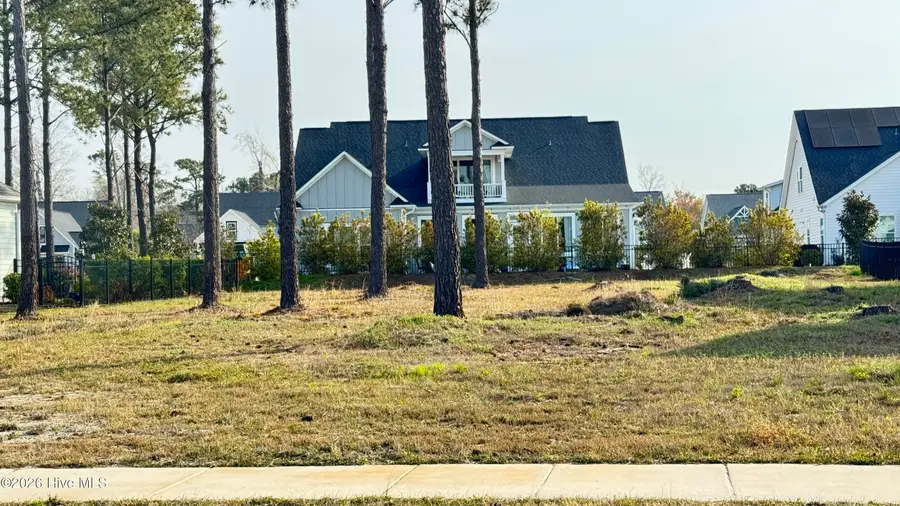 191 Knots Bend Drive, Hampstead, NC 28443 - #2