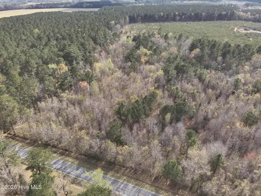 0 Skeeter Pond Road, Grifton, NC 28530 - #2