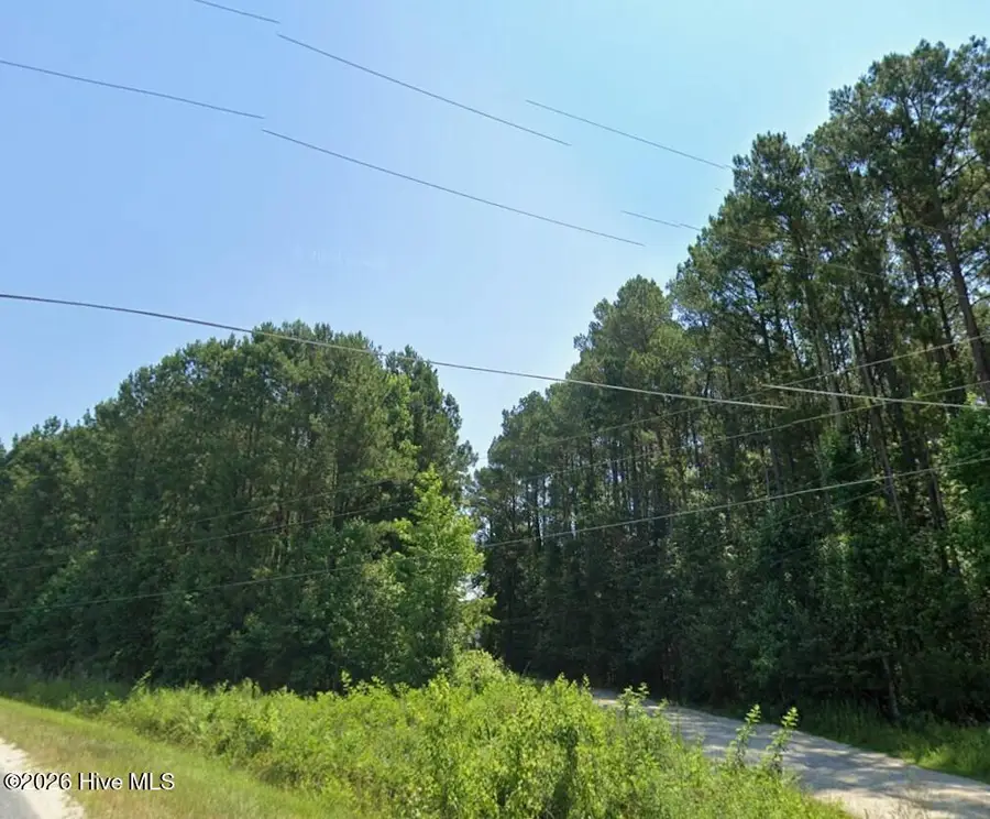 Lot 1 Harrison Road, Laurinburg, NC 28352 - #3