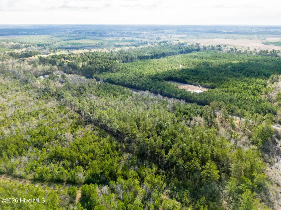 258 Hardy Graham Road, Maple Hill, NC 28454 - #3