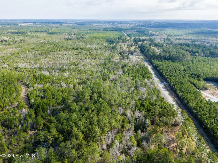 272 Hardy Graham Road, Maple Hill, NC 28454 - #2