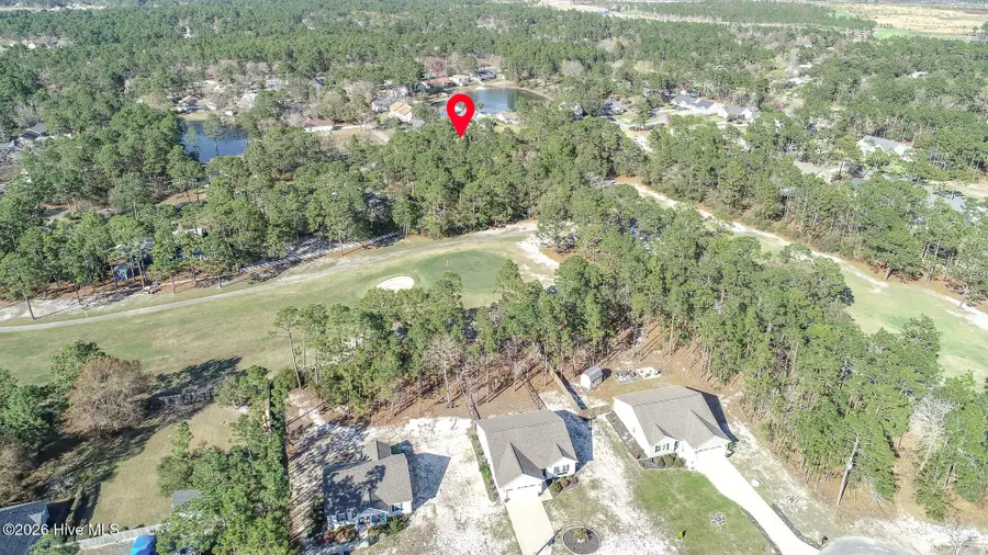 1156 Twin Lakes Drive, Boiling Spring Lakes, NC 28461 - #3