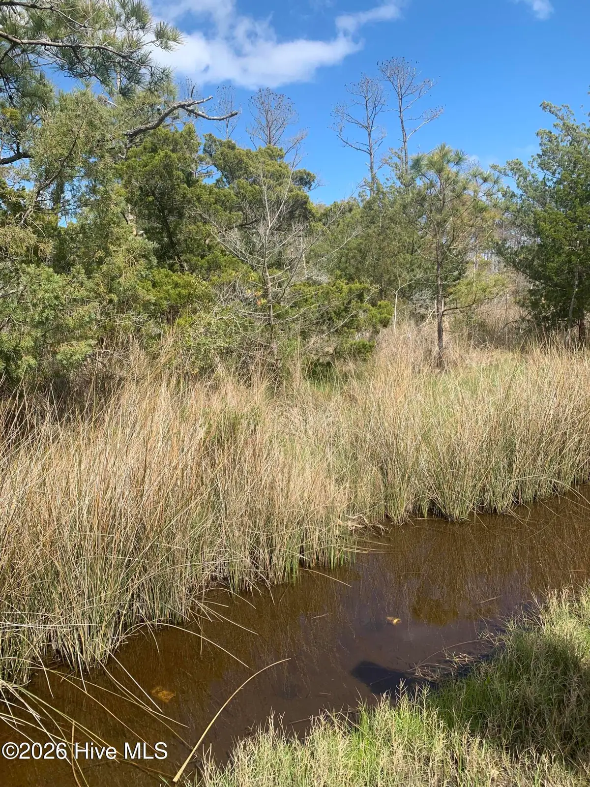 505 Shell Hill Road, Sealevel, NC 28577 - #1