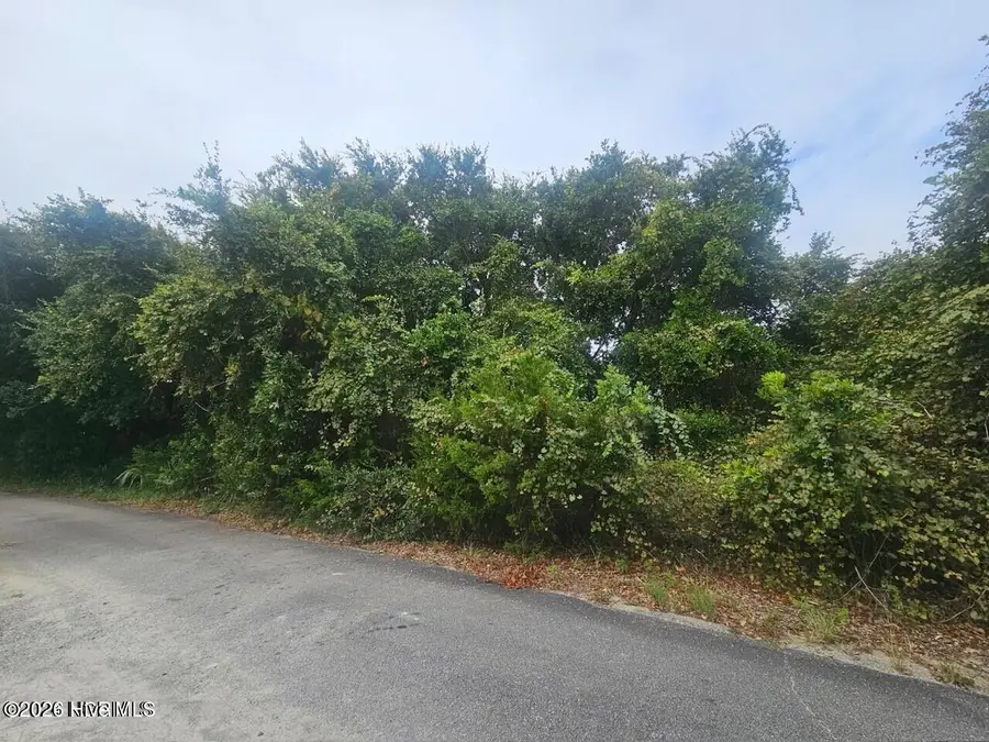 11 Royal Tern Court, Bald Head Island, NC 28461 - #2