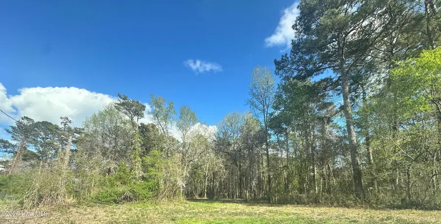 257 Fire Tower Road, Richlands, NC 28574 - #2