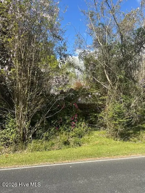 408 Mill Quarters Road, Hallsboro, NC 28442 - #2