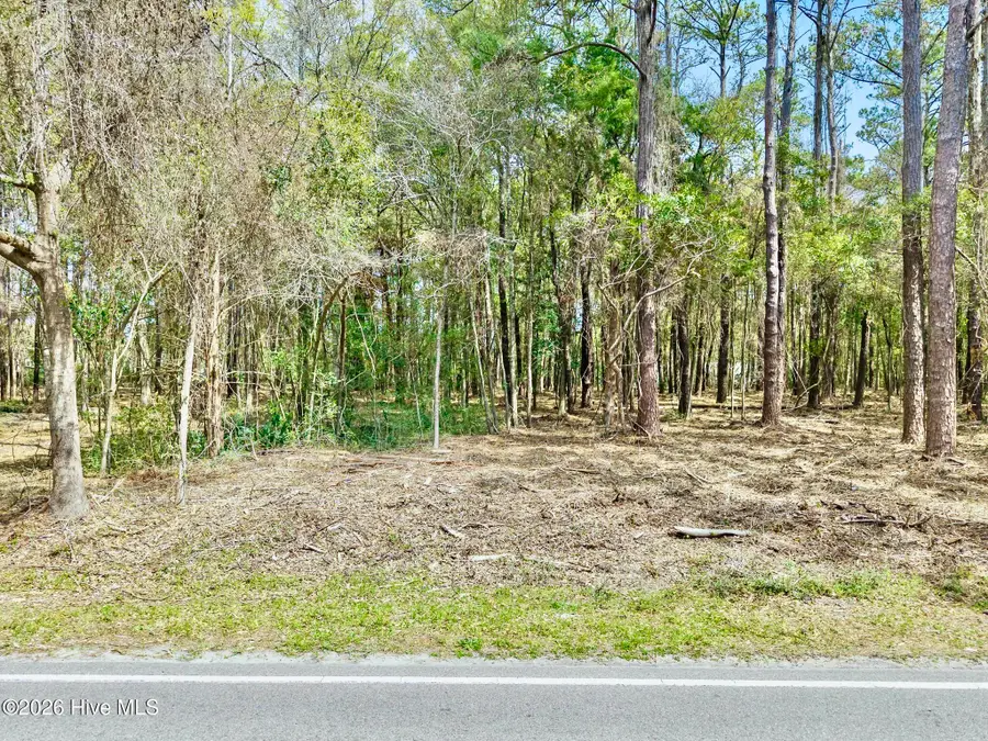 1593 Bricklanding Road Sw, Shallotte, NC 28470 - #3