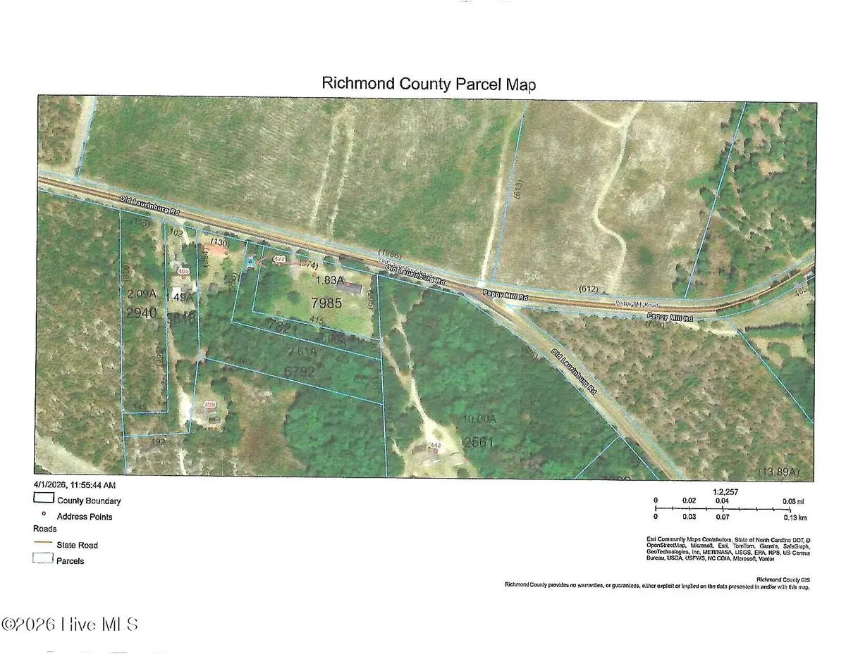 418 Old Laurinburg Road, Hamlet, NC 28345 - #1