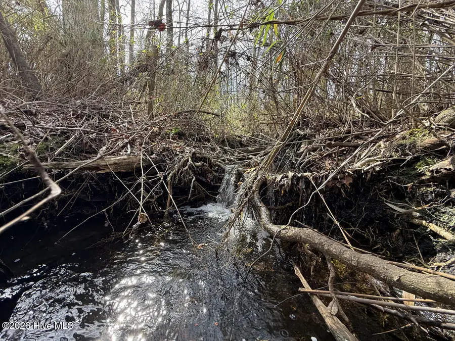 Tbd Mcgee Road, Rockingham, NC 28379 - #3