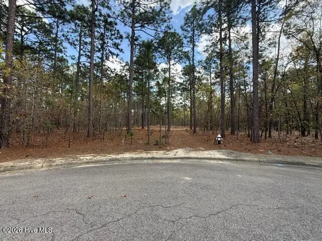 27 Birkdale Way, Pinehurst, NC 28374 - #3