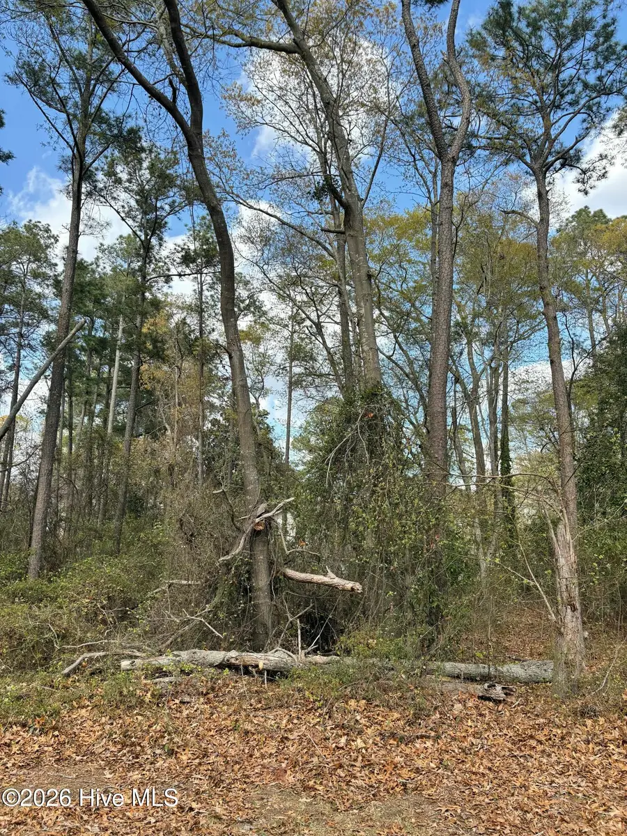 121 & 123 Pueblo Trail, Edenton, NC 27932 - #3