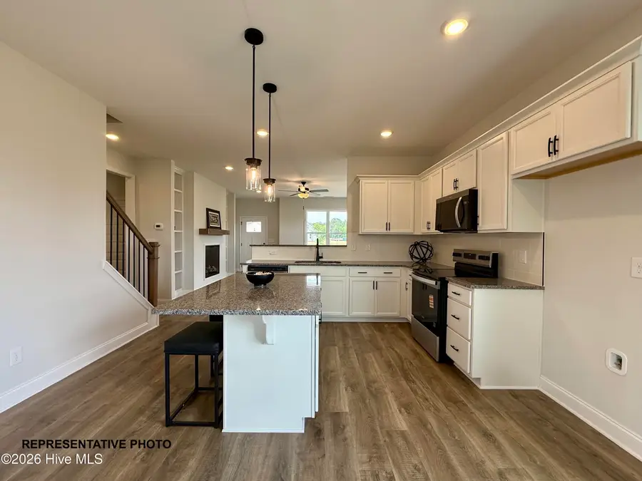 113 Cinnabar Street, Clayton, NC 27520 - #2