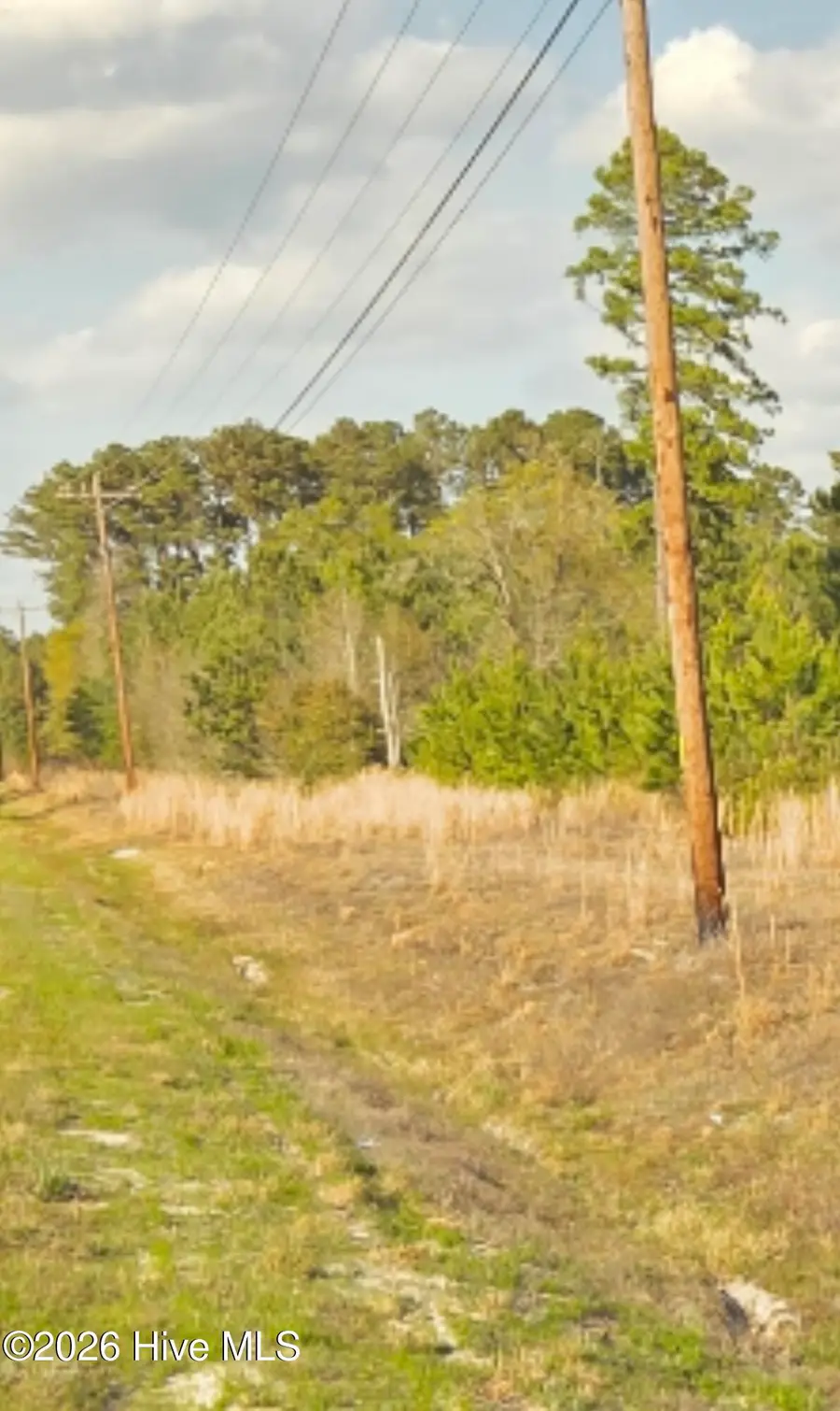 Near 731 Macedonia Church Road, Evergreen, NC 28438 - #2