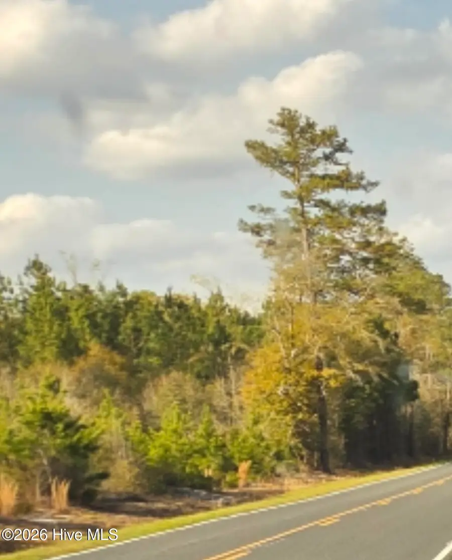 Near 731 Macedonia Church Road, Evergreen, NC 28438 - #2