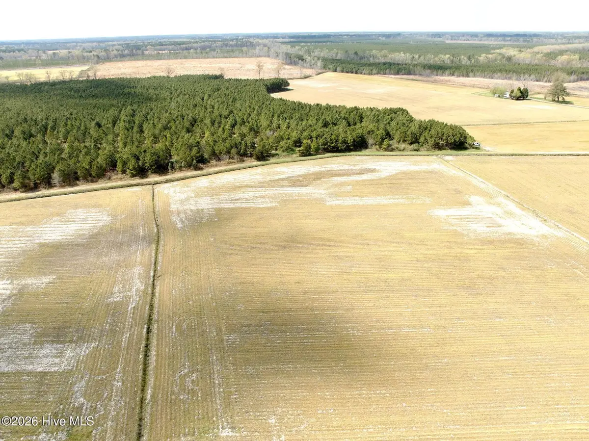 0 Mingle Road, Gates, NC 27937 - #1