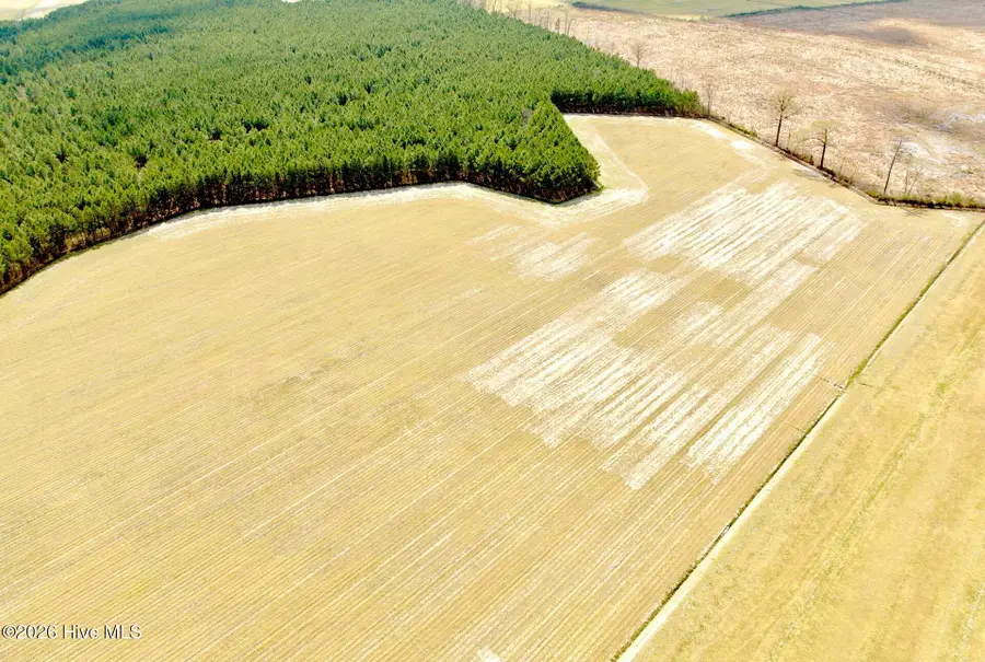 188 Black Mingle Road, Gates, NC 27937 - #3