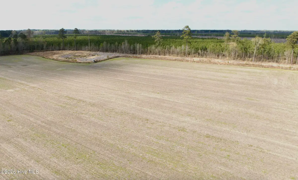 0 Black Mingle Road, Gates, NC 27937 - #1