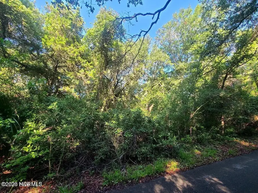 54 Fort Holmes Trail, Bald Head Island, NC 28461 - #2