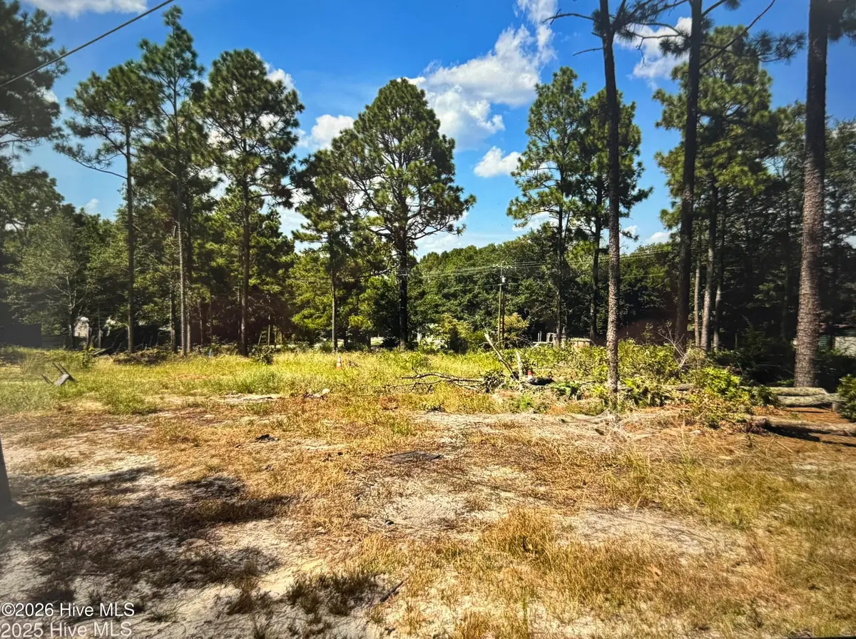 000 Wiregrass Road, Hamlet, NC 28345 - #1