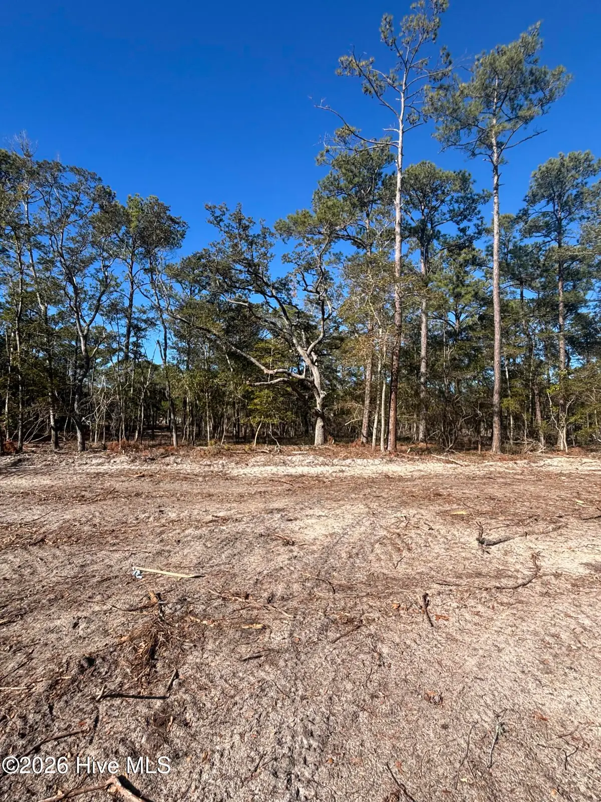 Lot 49 Peninsula Parkway, Southport, NC 28461 - #1