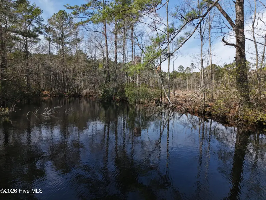 6879 Haynes Lennon Highway, Evergreen, NC 28438 - #3