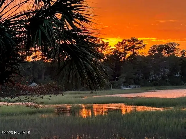 6316 S Bradley Overlook, Wilmington, NC 28403 - #2